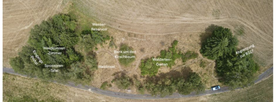 Projekt Dorfwald nimmt Gestalt an