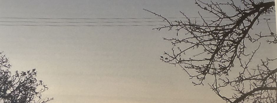 BodenSenior ist erschienen!