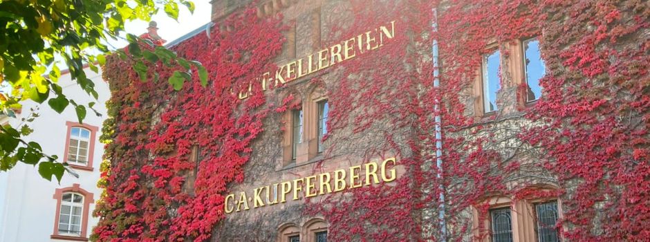 Die schönsten Herbstbilder aus Mainz und Umgebung