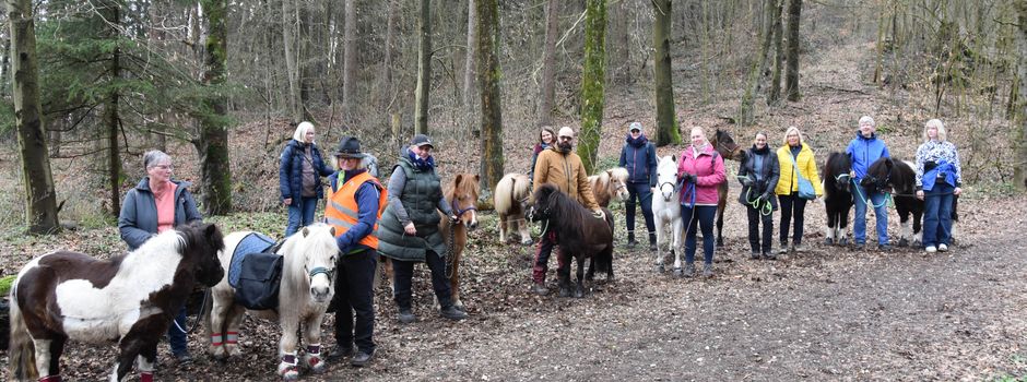 Kutschen‑Freunde blicken auf erfolgreiche Ponywanderung und Bodenarbeits-Lehrgang zurück