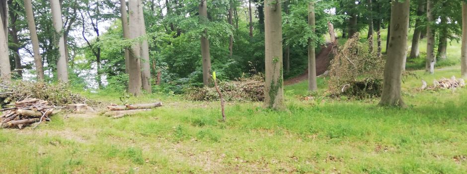 Schlosspark-Förderung