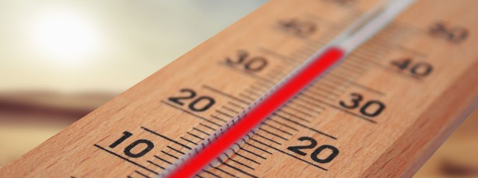 ABGESAGT: Arbeitseinsatz am 14.06.2025