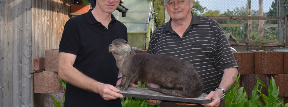 Treffen der Vereine und Verbände in Hohn