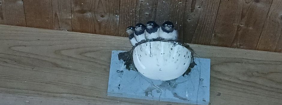 Familienglück!