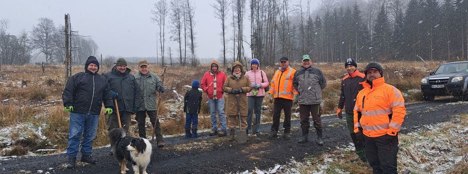 Aktionstag Wiederaufforstung - Vielen Dank!