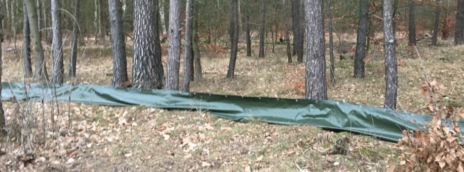 Werdet Teil eines Naturschauspiels!