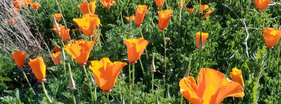 Ein Tag am Waldberg Empelde in 6 Minuten 🌲