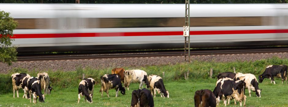 Kostenexplosion und spätere Fertigstellung?