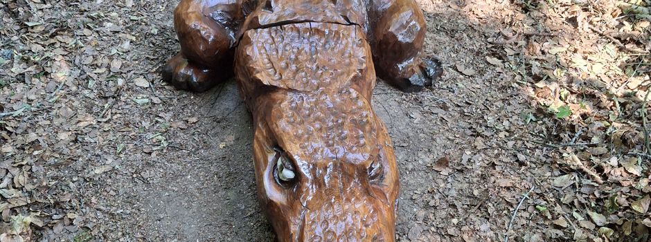 Krokodil am Barfußpfad gesichtet