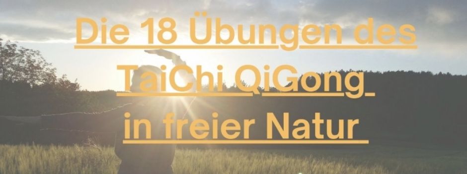 Workshop mit inmedio-coaching