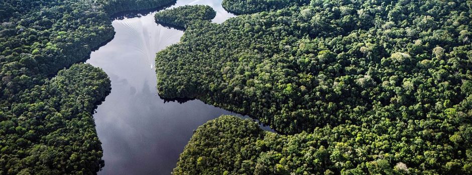 Krisentreffen am Amazonas – Was bringt die Klimakonferenz?