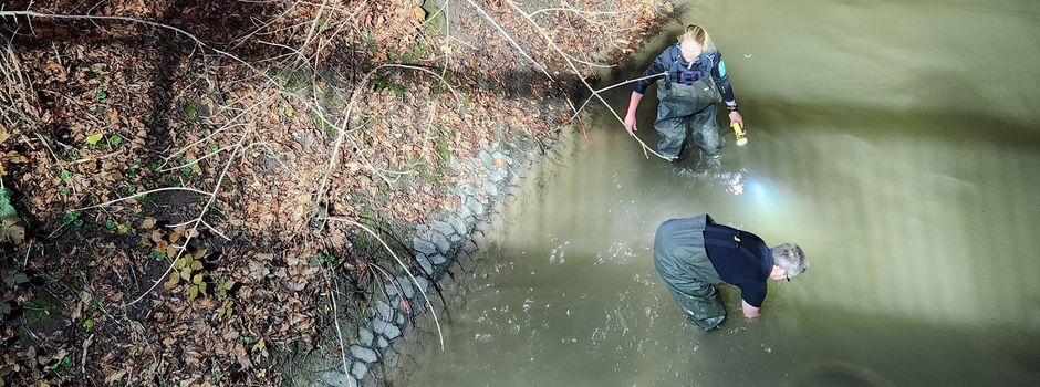 Rollstuhlfahrer stürzt in Selz bei Ingelheim