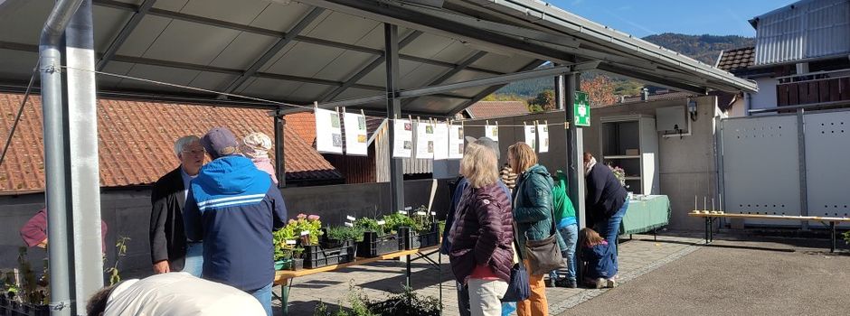 #Pflanz Dir eine - Aktionstag