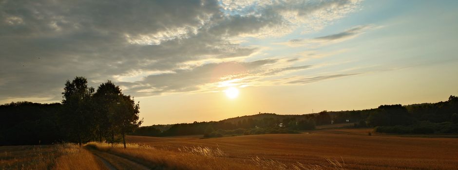Ein Sommernachtstraum in Fotos