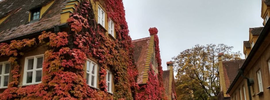 5 schöne Dinge, die ihr an einem Sonntag im Herbst machen könnt