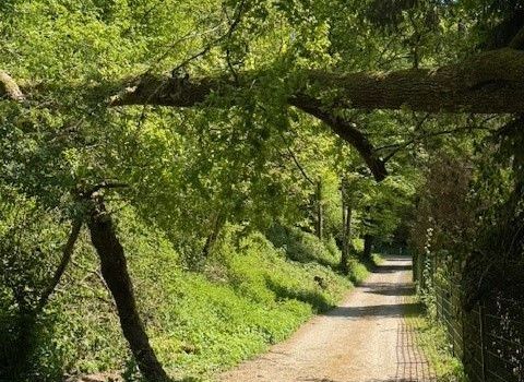 Dynamikum-Radweg ab sofort wieder befahrbar