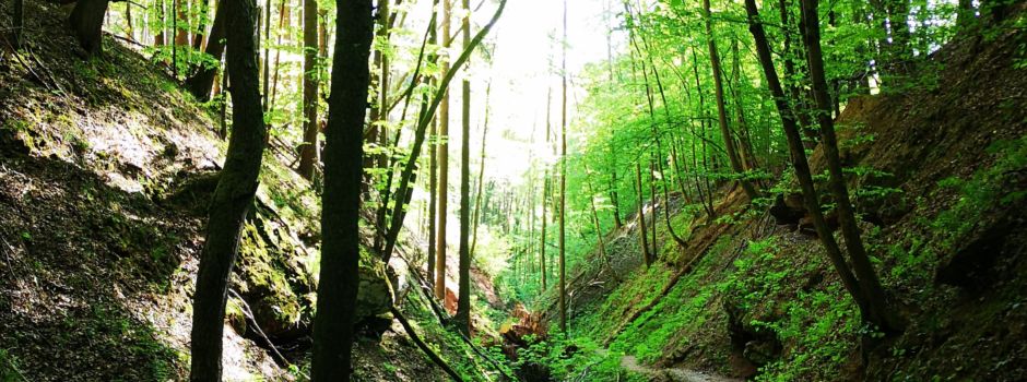 Hexenklamm: Strecke des Premiumwanderweges temporär verlegt
