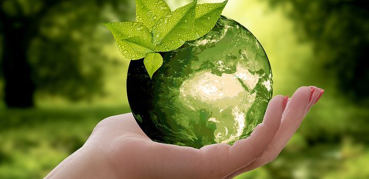 Förderprogramm „KLIMAFIT DURCHSTARTEN“ des Landkreises Mainz-Bingen zum zweiten Mal sehr gefragt