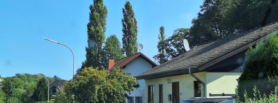 Pappeln wurden gefällt