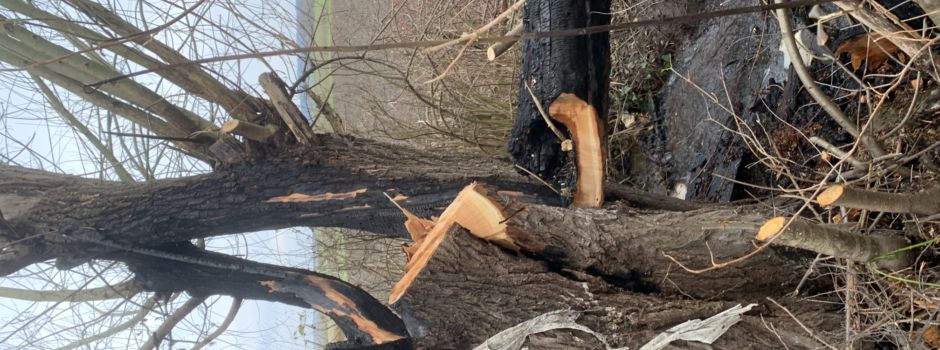 Brand am Riedborngraben