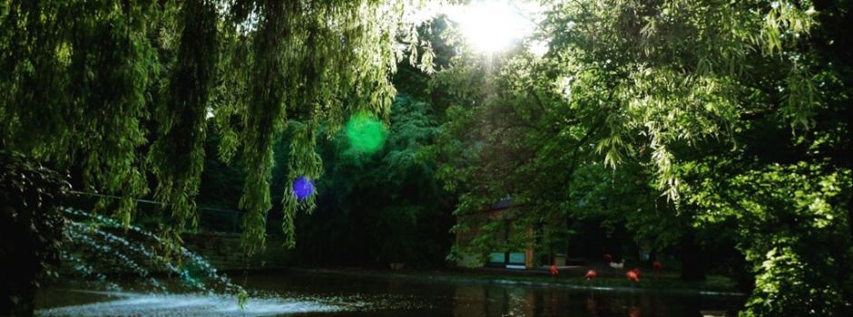 Orte in Mainz, die sich wie Ausland anfühlen