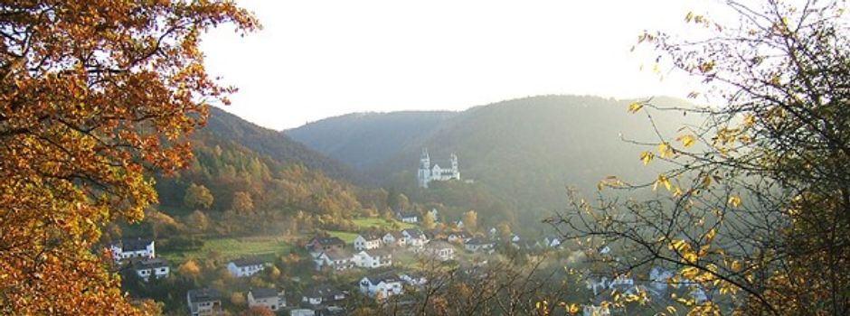 Spätsommer im Traumwald