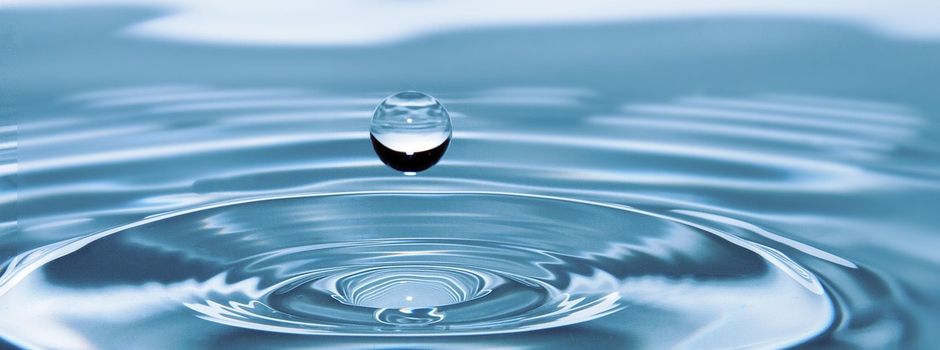 Kleineinleiterabgabe 2025