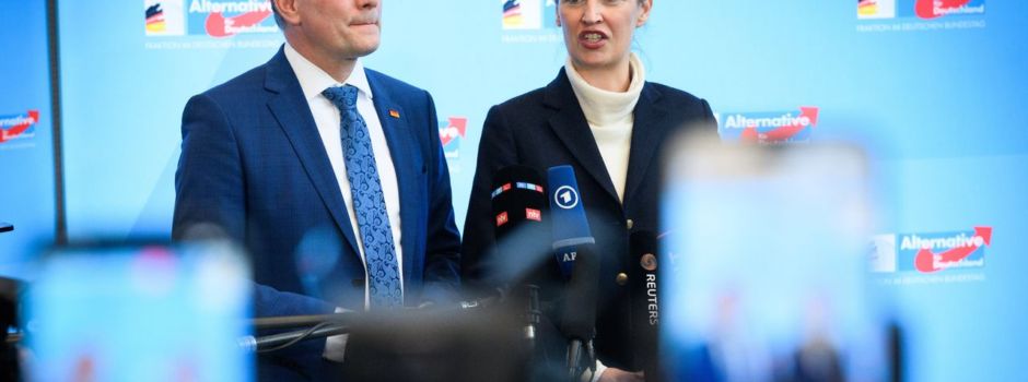 Was bedeutet die neue Einstufung für die AfD?