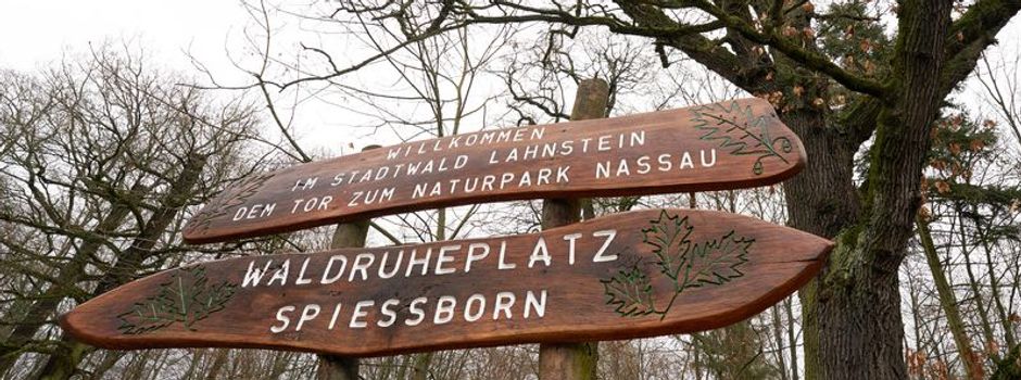 Erster „Healing Forest“ Deutschlands bei Koblenz eröffnet