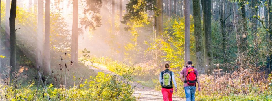Urlaub im Kreis Gütersloh
