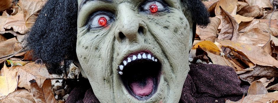 Halloween: Das ist in Mainz nicht erlaubt