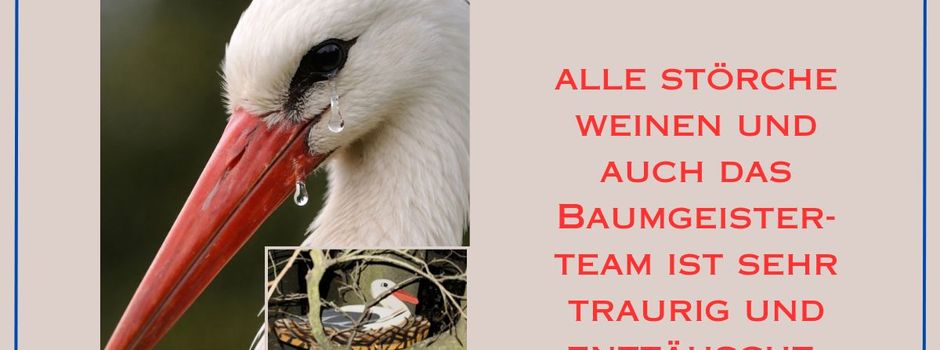 Er ist wieder da! Update im
Artikel 😊