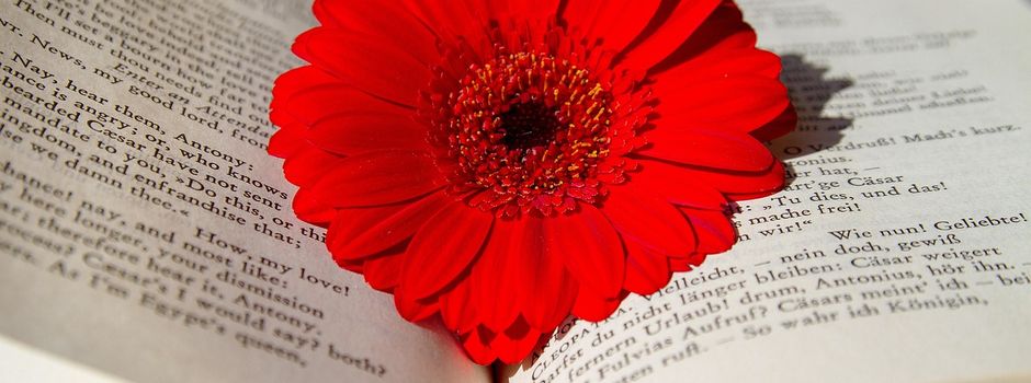 Literarischer Abend der Gemeindebücherei 