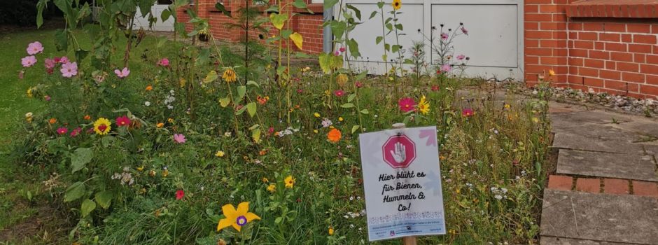 Blühprojekt für Grundschulen