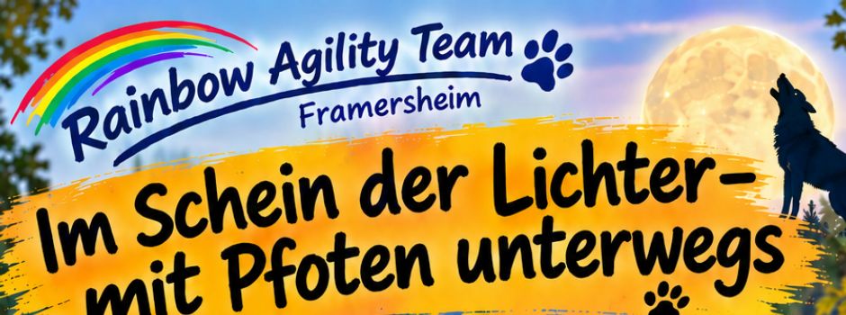 Im Scheine der Lichter - mit Pfoten unterwegs