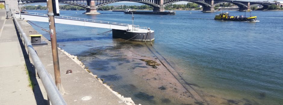 Bildergalerie: Niedrigwasser in Mainz