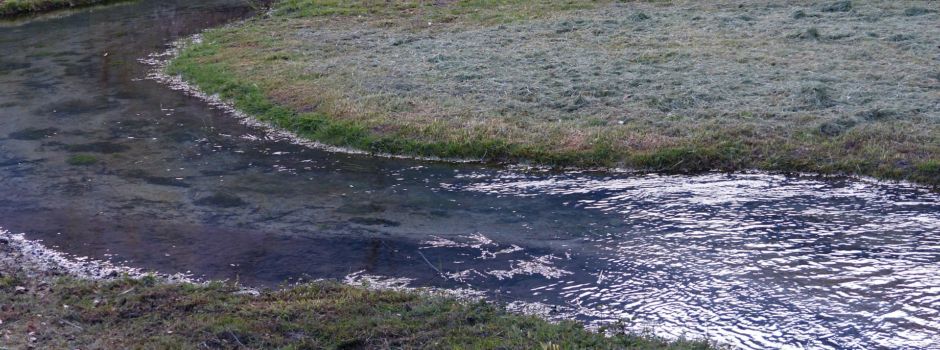 Renaturierung der Selz zwischen Gau-Odernheim und Bechtolsheim