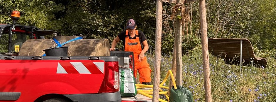 Neue Methode zur Bewässerung von Jungbäumen und Förderung von Biodiversität