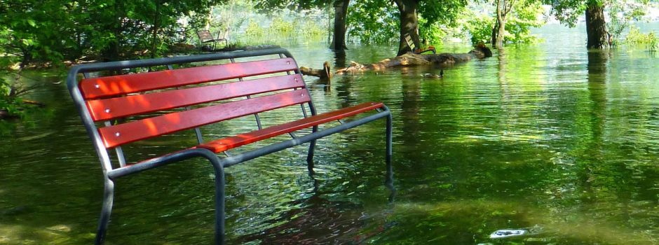 Konzeptentwürfe zum Hochwasserschutz im Hochwald werden vorgestellt