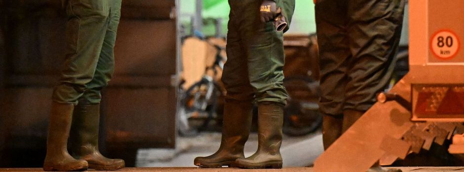 Vogelgrippe breitet sich aus - Agrarminister beraten