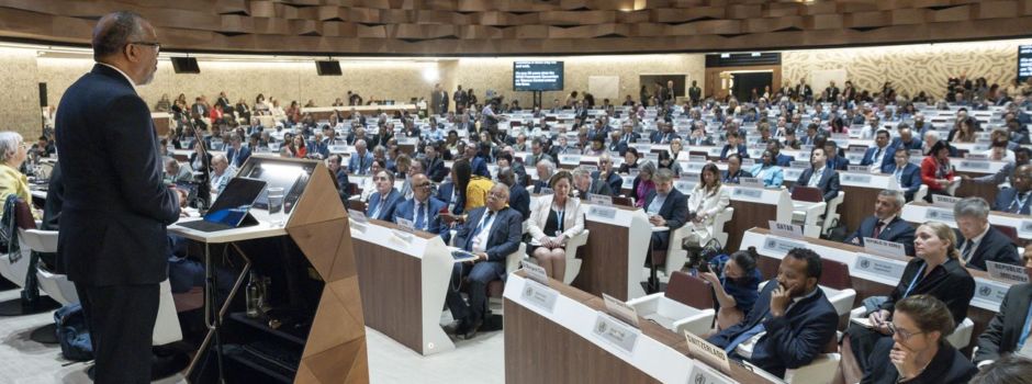 Pandemievertrag: So will die WHO besser vor Krisen schützen