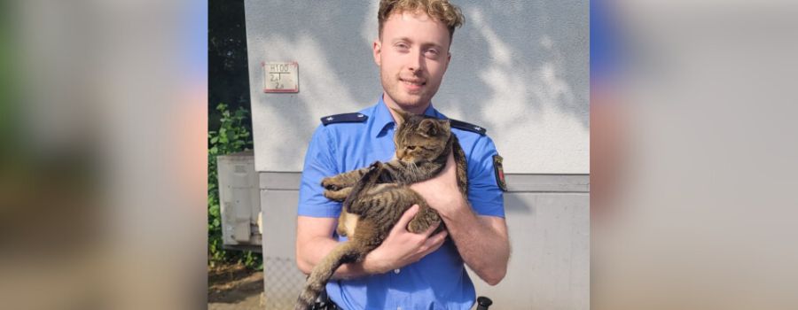 Kater besucht regelmäßig Autobahnpolizei