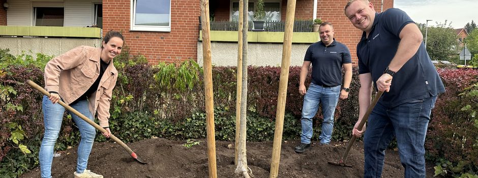 Entsiegelung: Neue Grünfläche an der Hirtenstraße