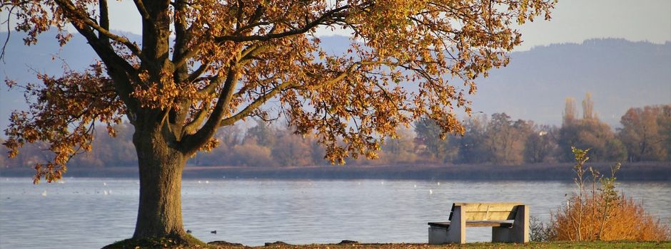 Bewegungsangebot für Senioren unter dem Motto: " Gemeinsam Fit"
