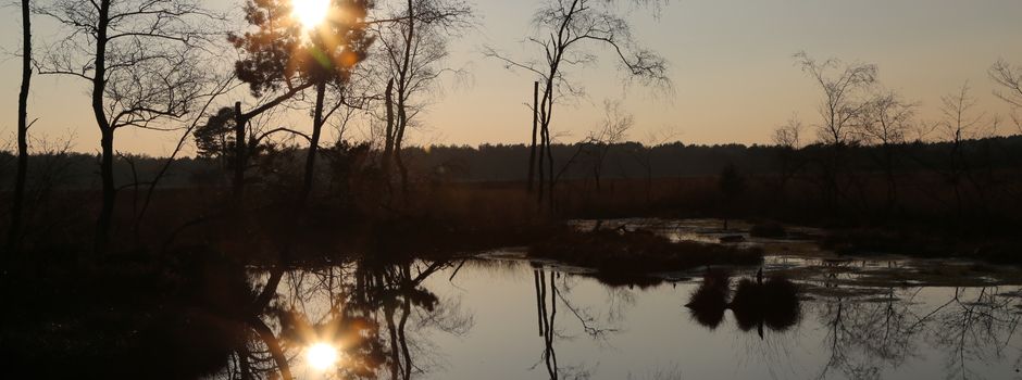 „Intakte Moore sind Superhelden für Klima-, Wasser- und Naturschutz“