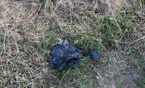 Appell an Hundehalter