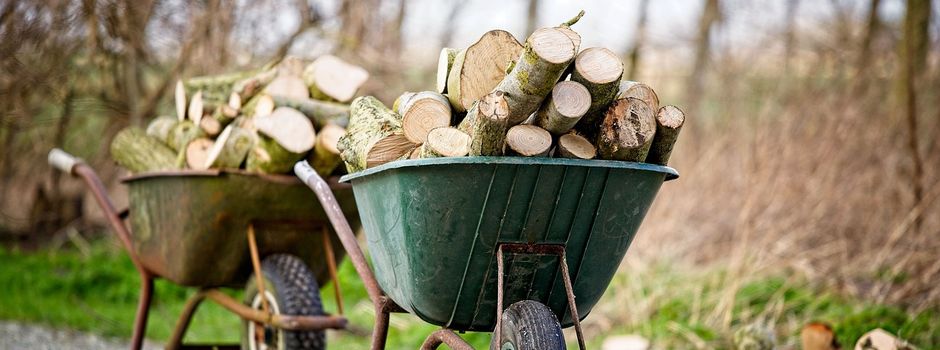 Buschannahme
Freiwillige Feuerwehr Basbeck