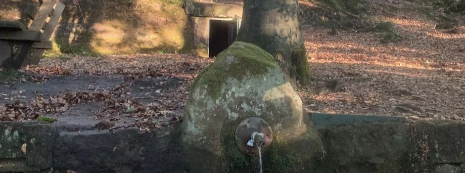 Rotbrunnen fließt wieder 