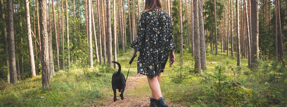 Brut- und Setzzeit beginnt am 1. April