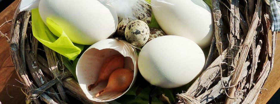 Osterbasteln für Groß und Klein